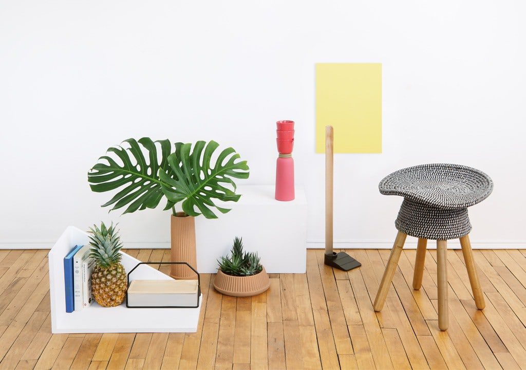 Indoor decor with plants and modern furniture.